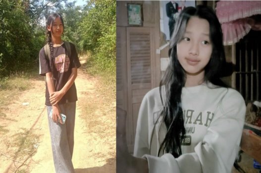 Tôi đã nhìn thấy một con bướm trong cái rừng đó